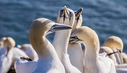 DB真人旗舰🏀CUBAL女篮全国赛-王家绘17+9+6断 北京大学狂胜山西财大67分