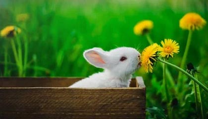 DB真人旗舰🏀CUBAL女篮全国赛-王家绘17+9+6断 北京大学狂胜山西财大67分